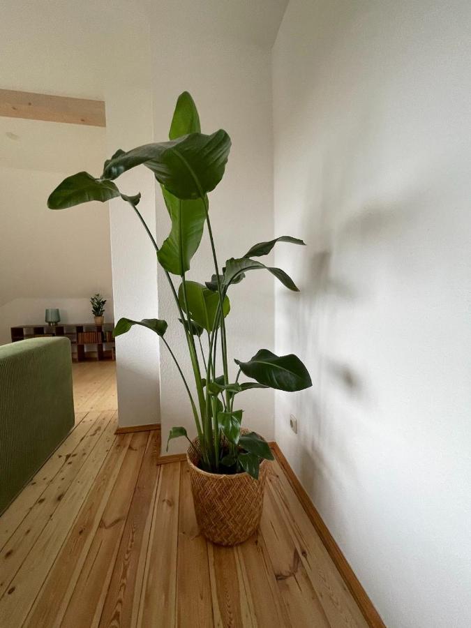 Apartment Kulturgenuss Am Goethewanderweg *